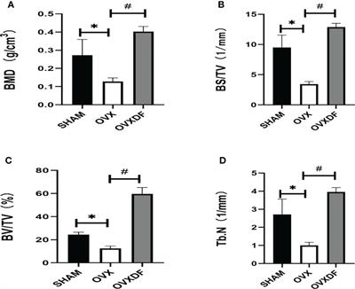 Effect of Rhizoma Drynariae on differential gene expression in ovariectomized rats with osteoporosis based on transcriptome sequencing